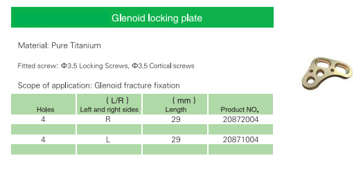 surgical bone plate