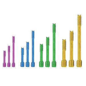 Orthopedics Cannulated Compression Headless Screw