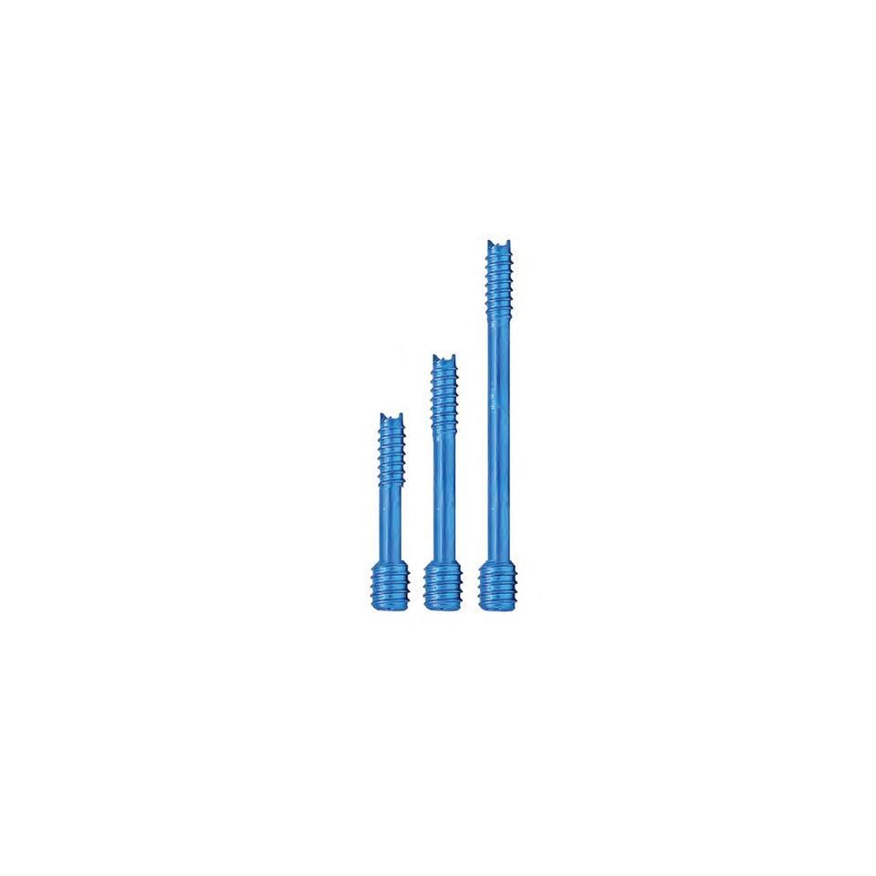 Orthopedics Cannulated Compression Headless Screw