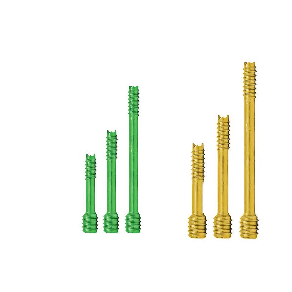 Orthopedics Cannulated Compression Headless Screw