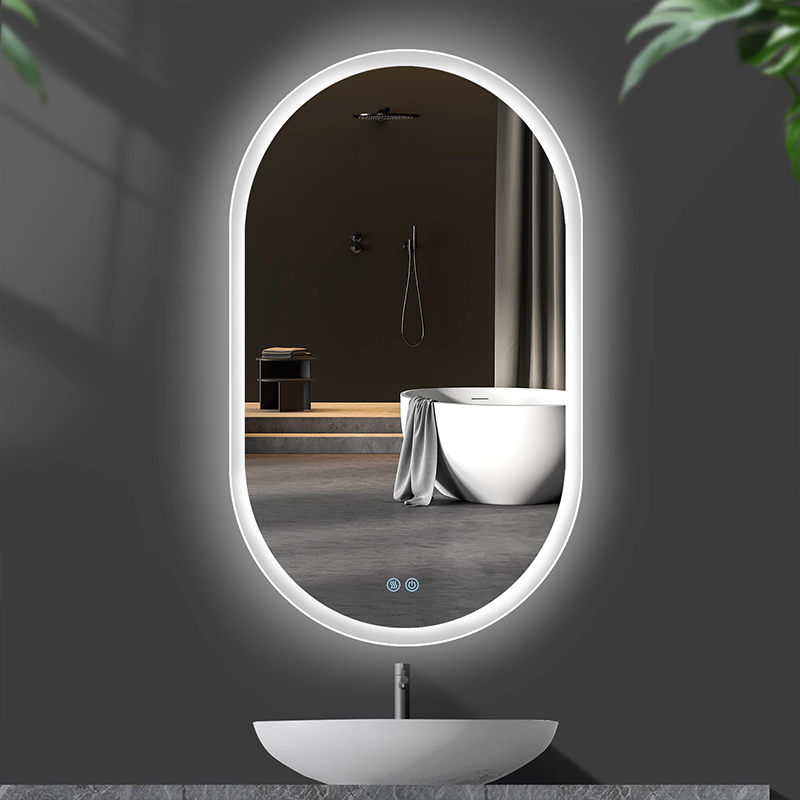 Wall Mounted Oval Vanity Mirror with Backlight,