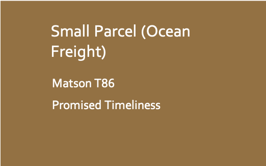 UPS Economical Express Päckchen