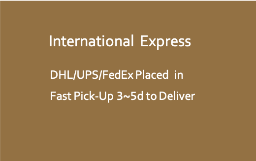 Expreso internacional