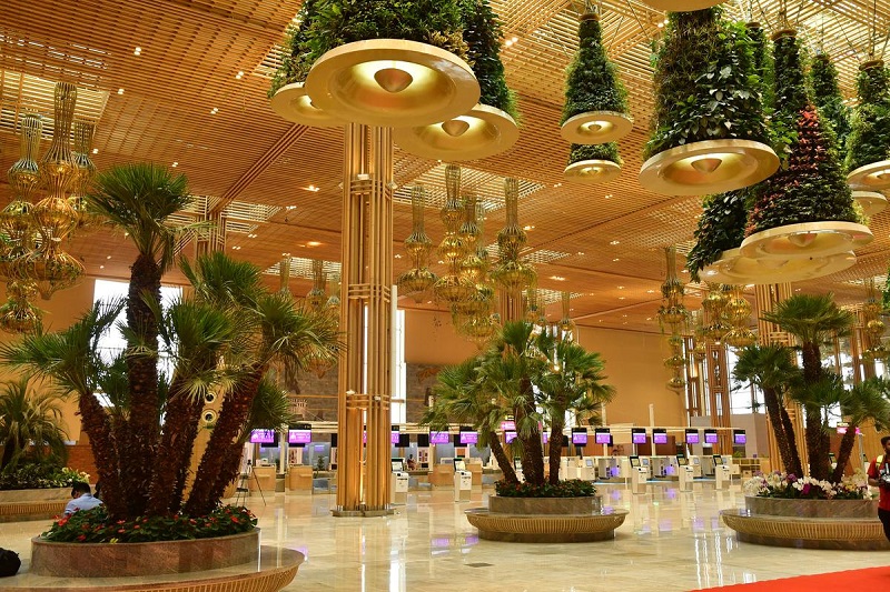 Bambus im „Garden Terminal“ des Flughafens hervorgehoben