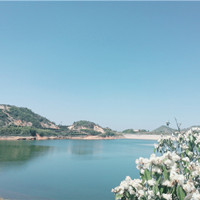 Toppla's charitable activities for the Arbor Day