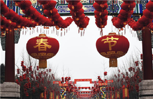 Chinese New Year is Coming Soon!