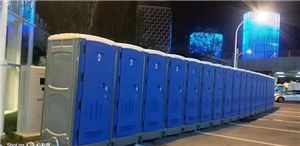 World Toilet Day