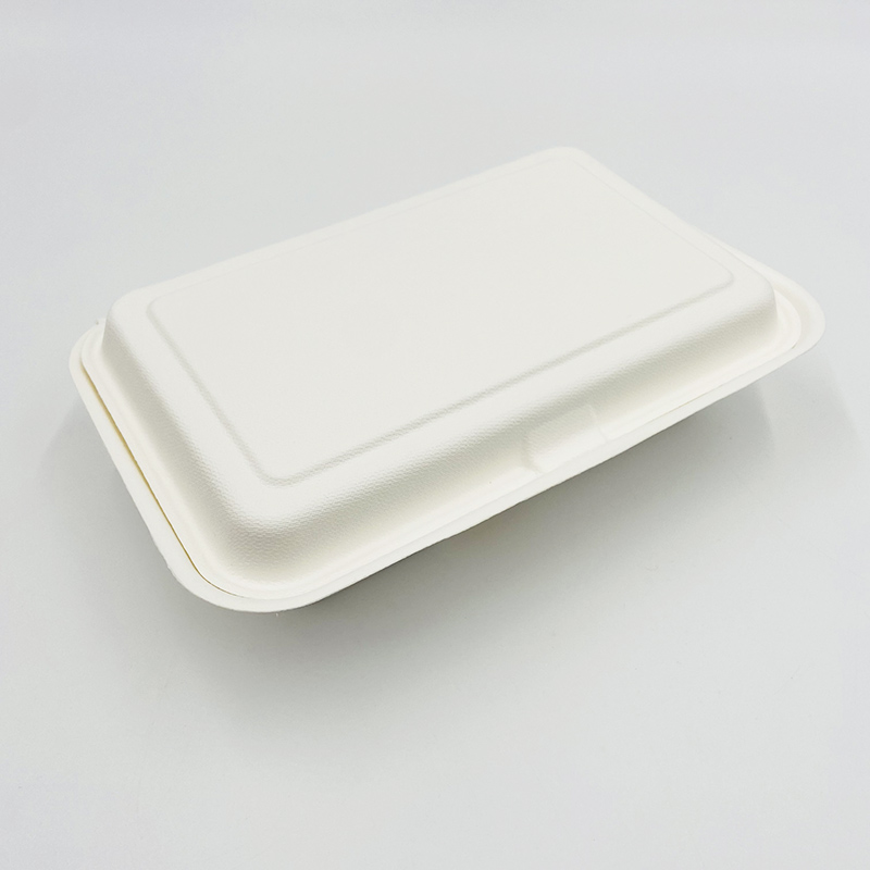 Bagasse Clamshell Containers Sugarcane Food Packaging Food Container