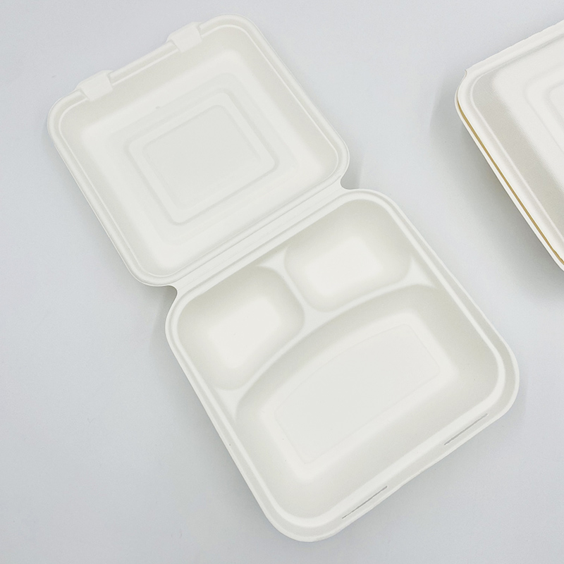 Compostable Box Bagasse Takeaway Containers