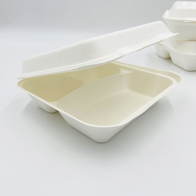 Compostable Box Bagasse Takeaway Containers