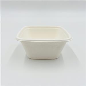 ECO Box 4 Compostable Biodegradable Salad Boxes