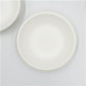 Sugarcane Pulp Containers Bowl Bagasse