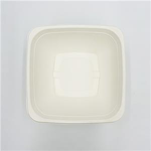 Compostable Salad Boxes Disposable Bowl
