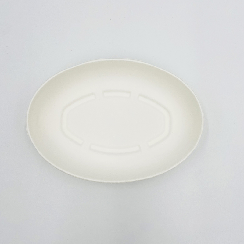 Compostable Food Platter Boxes Dinnerware Bowl
