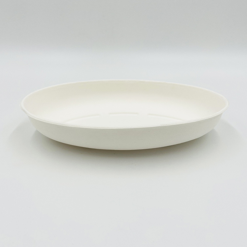 Compostable Food Platter Boxes Dinnerware Bowl