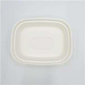 Compostable Takeout Boxes Rectangular Bowl