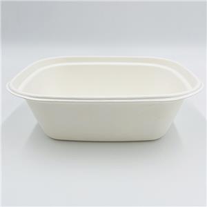 Cajas de embalaje compostables Ramen Bowl