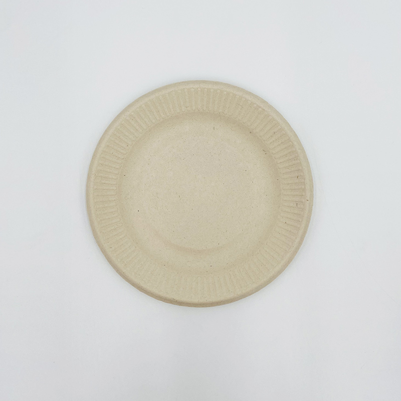 Disposable Plates From Bagasse Compostable Sugarcane Plates