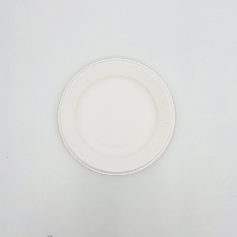 Disposable Plates From Bagasse Compostable Sugarcane Plates