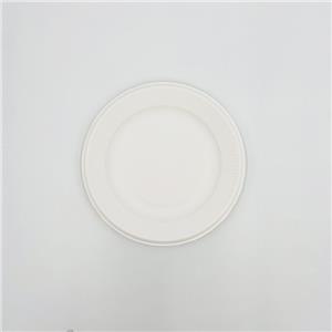 Disposable Plates From Bagasse Compostable Sugarcane Plates