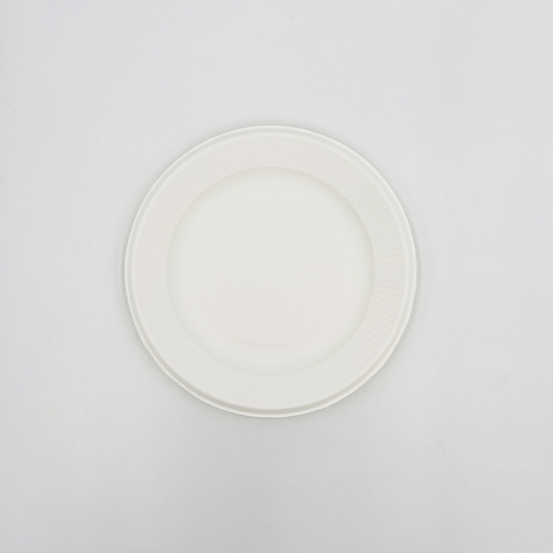 Plates Made Out Of Sugarcane Waste Sugarcane Pulp Disposable Plates