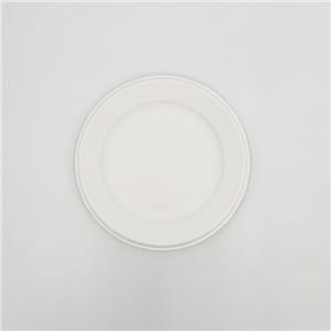 Plates Made Out Of Sugarcane Waste Sugarcane Pulp Disposable Plates