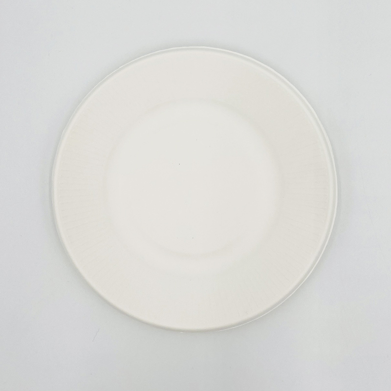 Biodegradable Bagasse Plates Disposable Plates Made From Sugarcane