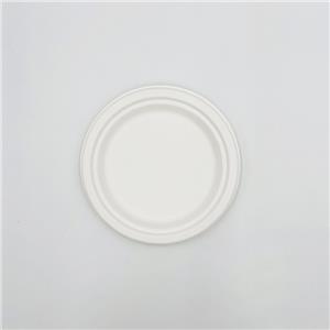 Sugar Cane Waste Paper Plates Biodegradable Sugarcane Plates