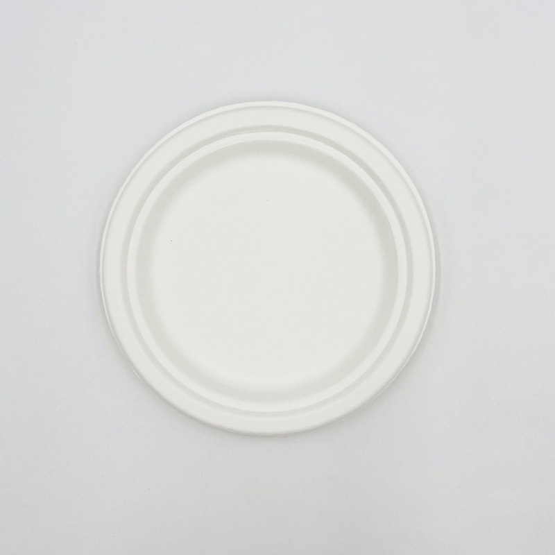 Bagasse Paper Plates Sugarcane Paper Plates