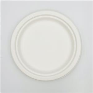 Sugarcane Pulp Plates Molding Plates