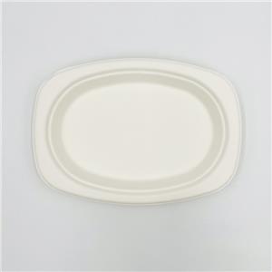 Platos ecológicos Plato de papel