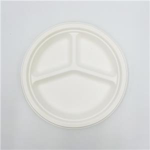 Sugarcane Pulp Plates Compartment Plates