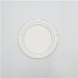 Party Tableware Dinner Plate