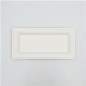 Biodegradable Sugarcane Plates Rectangular Plates