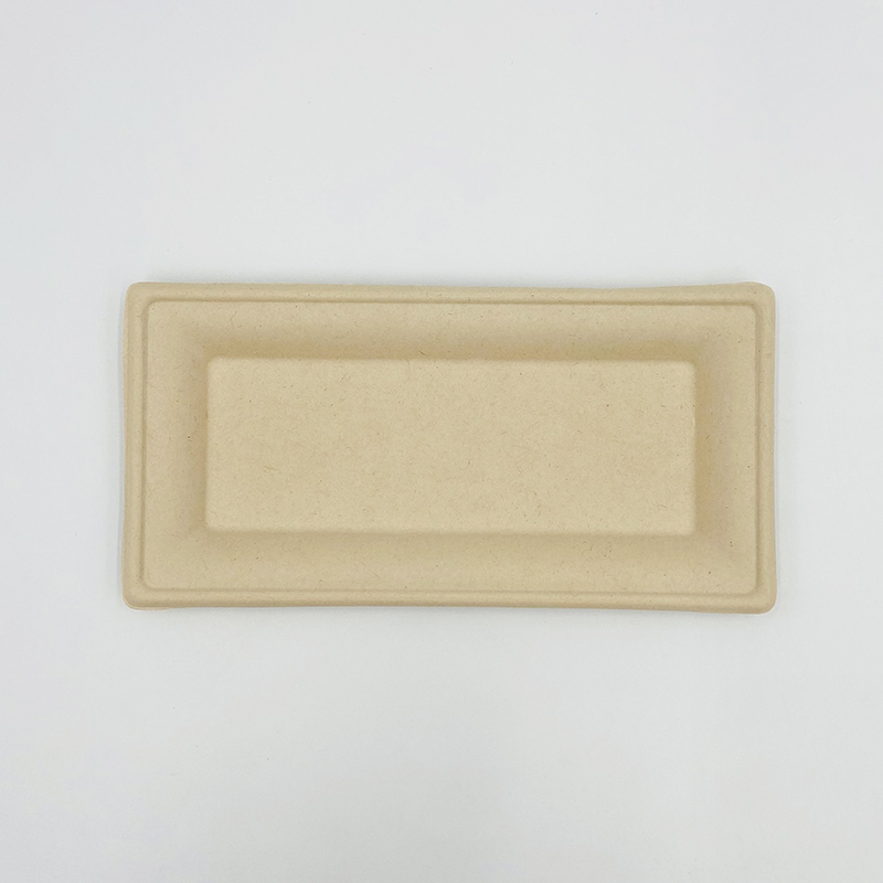 Biodegradable Sugarcane Plates Rectangular Plates