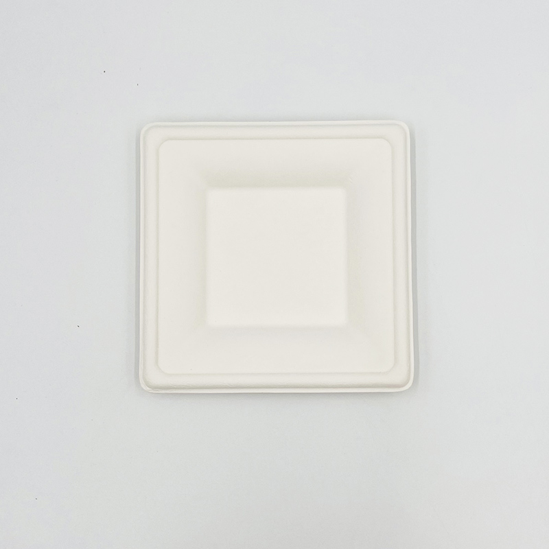 Sugarcane Pulp Plates Square Plate