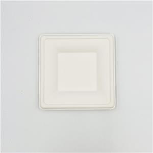 Sugarcane Pulp Plates Square Plate