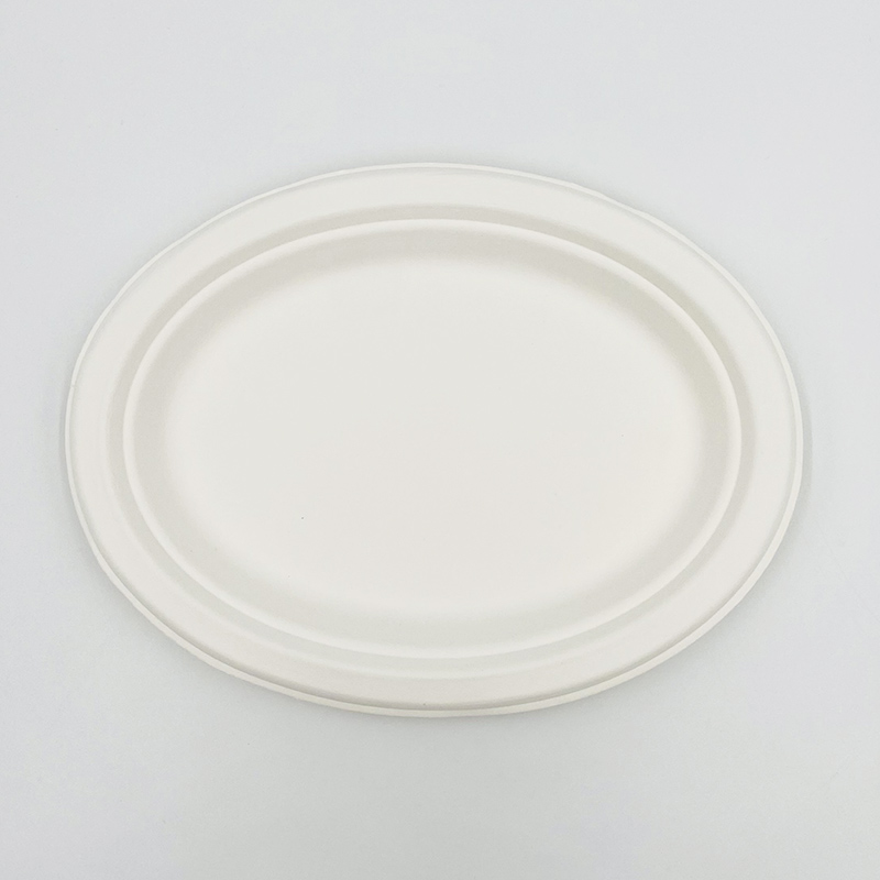 ECO Friendly Plates Oval Plate