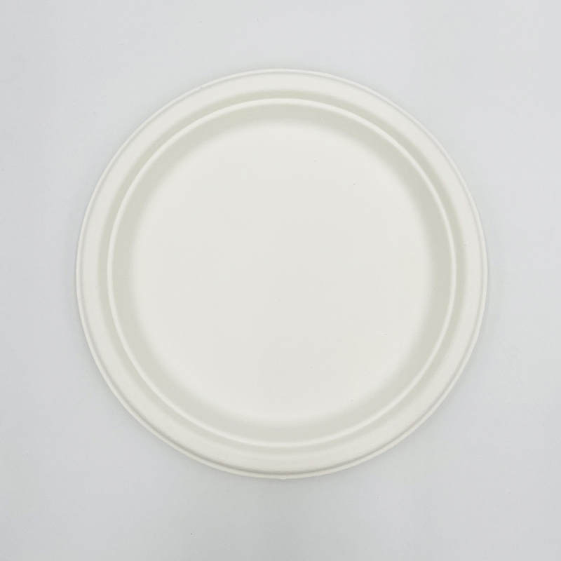 Biodegradable Sugarcane Bagasse Plate Large Round Plate