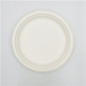 Piatti Compostabili Di Canna Da Zucchero Piatto Di Nozze