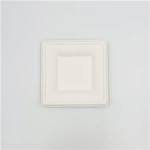 Platos de papel verde Platos para servir