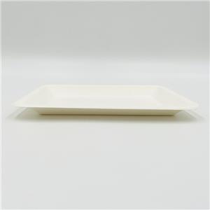 Bagasse Food Trays Molded Pulp Trays