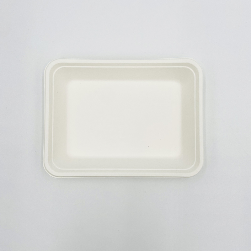 Paper Pulp Tray Bagasse Chip Tray