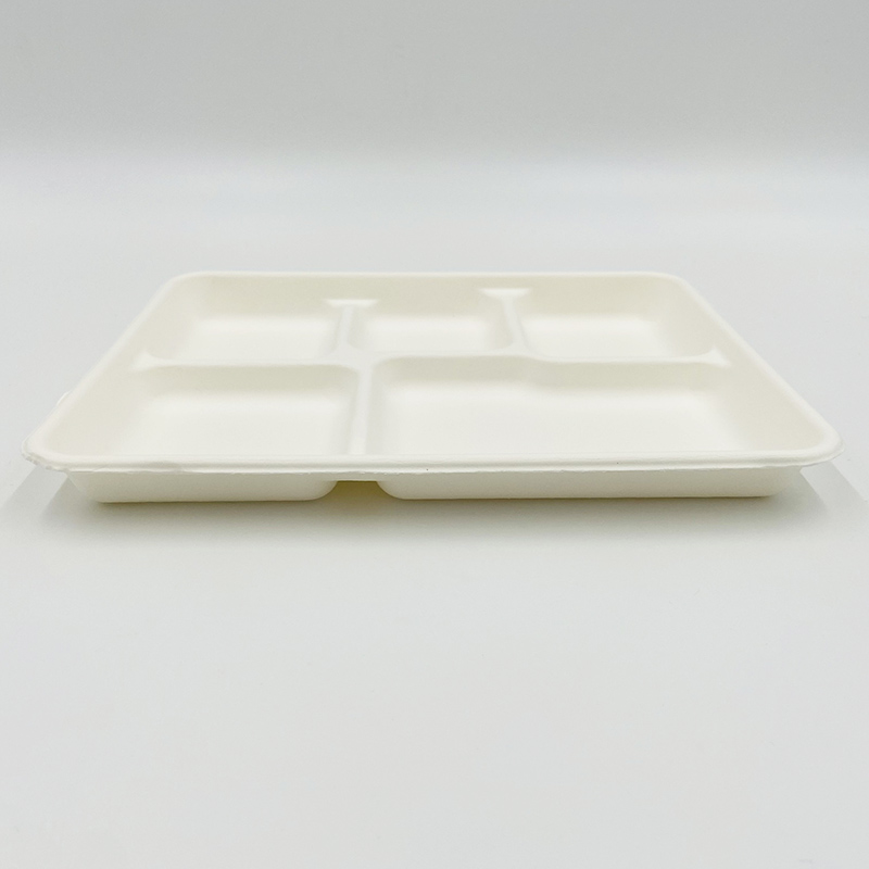 Pulp Tray Packaging Bagasse Meal Tray