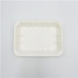 Bandejas moldeadas de pulpa de papel Bandeja de sushi de bagazo