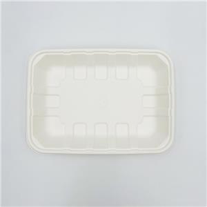 Moulded Pulp Trays Bagasse Fish & Chip Box