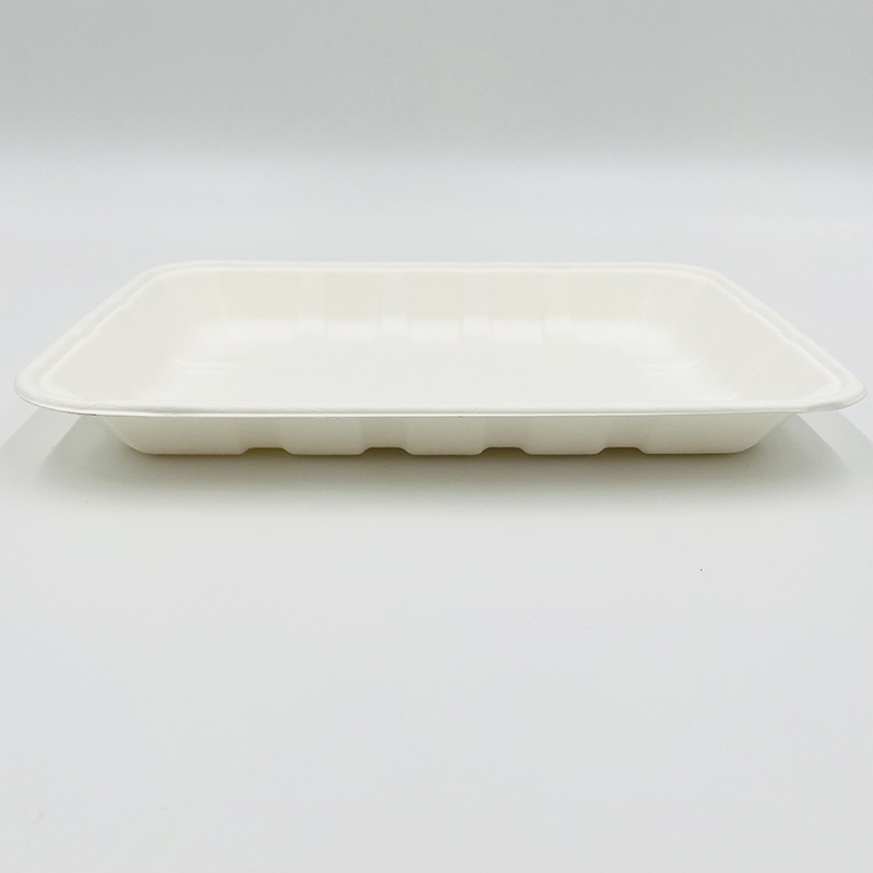 Pulp Food Trays Frozen Food Tray
