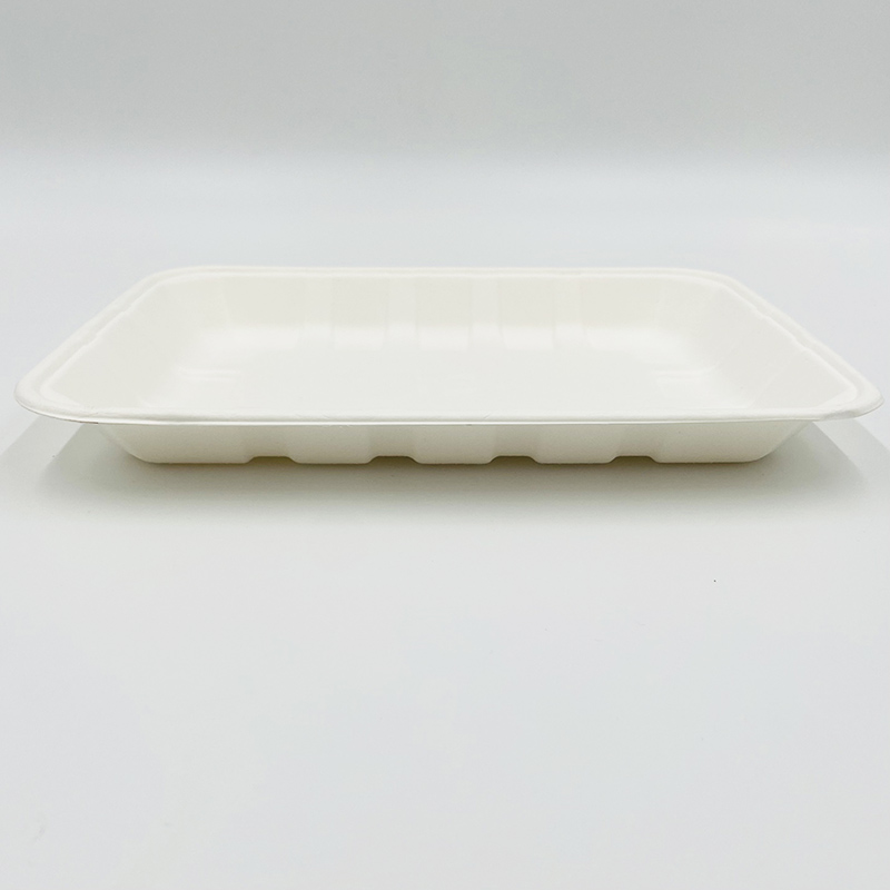 Pulp Food Trays Tiefkühlkost-Tablett