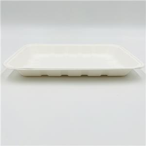 Pulp Food Trays Frozen Food Tray