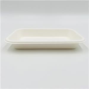 Pulp Food Tray Frozen Food Tray Packaging